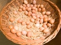 Big wicker basket with straw and chicken eggs Easter holiday Royalty Free Stock Photo