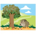 A big wild boar is standing under an oak tree and is going to look for acorns, cartoon illustration, vector Royalty Free Stock Photo