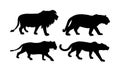 Big wild cat collection. Lion and lioness silhouette. Tiger vector silhouette illustration isolated on white background. Panther