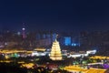 Big wild goose pagoda at night Royalty Free Stock Photo