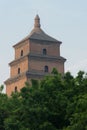 Big Wild Goose Pagoda in Xian Royalty Free Stock Photo