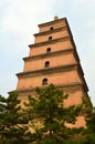 Big Wild Goose Pagoda, Xian, Shaanxi, China Royalty Free Stock Photo