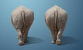 the big wild rhinoceros is coming. set of two animals