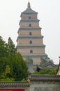 Big Wiled Goose Pagoda Royalty Free Stock Photo
