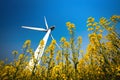 A big wind turbine in rapeseed field Royalty Free Stock Photo