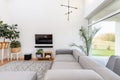 Window, plants, couch and tv in elegant living room interior