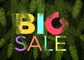 Big winter sale banner. vector label green fir tree branches and big sale text