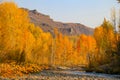 Big Wood River In Autumn In Sun Valley, Idaho