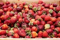 Big wooden box with a ripe red strawberries inside Royalty Free Stock Photo