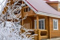 Big wooden cottage house with tiled red roof in background and little frozen tree covered with snow in foreground Royalty Free Stock Photo