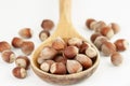 Big wooden spoon with bunch of hazelnuts isolated on white background Royalty Free Stock Photo