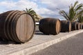 Big wooden wine barrels at the entrance to the vineyard. Lanzarote Royalty Free Stock Photo