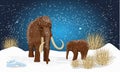 Big woolly mammoth and cub on plain in the snow. Night with the stars