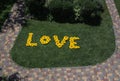 Big word love, laid out of yellow sunflower flowers on a green lawn