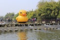 Big yellow duck in litianyuan countryside amusement park