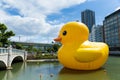 Big Yellow Duck in Osaka Royalty Free Stock Photo