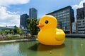 Big Yellow Duck in Osaka Royalty Free Stock Photo