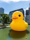 Big Yellow Duck in Osaka Royalty Free Stock Photo