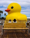 Big Yellow Duck