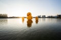 Big yellow duck on the water at Nong Prachak Public Park, Evening sun, Sunset, Udonthani Province Thailand Royalty Free Stock Photo