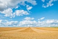 Big yellow field after harvesting. Mowed wheat fields under beautiful blue sky and clouds at summer sunny day. Converging lines on Royalty Free Stock Photo