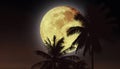 Big yellow moon detail image in summer night sky with silhouette of palm tree leaves for travel and Halloween holiday background. Royalty Free Stock Photo