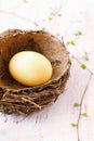 Yellow egg in a nest Royalty Free Stock Photo