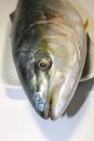 Big Yellowtail fish head Royalty Free Stock Photo