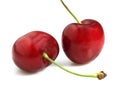 BIGARREAU CHERRIES FRENCH SPECY AGAINST WHITE BACKGROUND