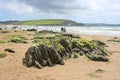 Bigbury Beach Royalty Free Stock Photo