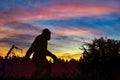 Bigfoot really exists. Royalty Free Stock Photo