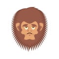 Bigfoot sad emoji. Yeti wailful emotion face. Abominable snowman Royalty Free Stock Photo