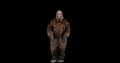 Bigfoot or Sasquatch looking and gesturing down