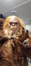 bigfoot yeti sasquatch