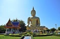 Biggest buddha image