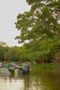 Brazilian Pantanal - The Jaguar