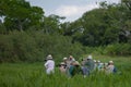 Brazilian Pantanal - The Jaguar