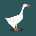 Beautiful White Goose Vector Illustration