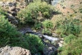 The biggest waterfall in Israel is the Gamla waterfall on the Golan Heights