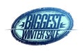 Biggest winter sale rubber stamp imprint