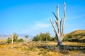 Bighorn Canyon National Recreation Area Royalty Free Stock Photo