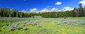 Bighorn National Forest Panoramic