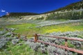 Bighorn National Forest Scenery
