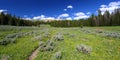 Bighorn National Forest Wyoming