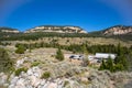 Bighorn National Forrest in Wyoming on highway 16 with Limber Pine (Pinus flexilis) growing in the rocky cliffs Royalty Free Stock Photo