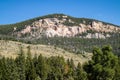 Bighorn National Forrest in Wyoming with Limber Pine (Pinus flexilis) growing in the rocky cliffs Royalty Free Stock Photo