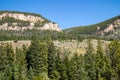 Bighorn National Forrest in Wyoming with Limber Pine Pinus flexilis growing in the rocky cliffs in summer Royalty Free Stock Photo