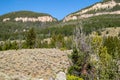 Bighorn National Forrest in Wyoming with Limber Pine Pinus flexilis growing in the rocky cliffs in summer with a blue sky Royalty Free Stock Photo