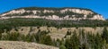 Bighorn National Forrest in Wyoming with Limber Pine (Pinus flexilis) growing in the rocky cliffs Royalty Free Stock Photo