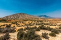 Bighorn National Recreation Area, Wyoming Royalty Free Stock Photo